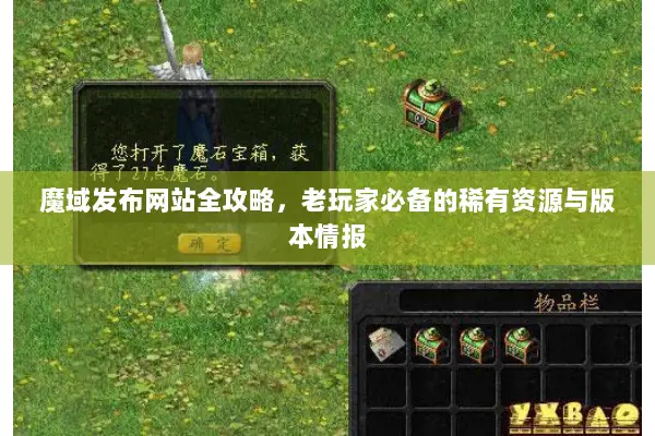 魔域发布网站全攻略，老玩家必备的稀有资源与版本情报