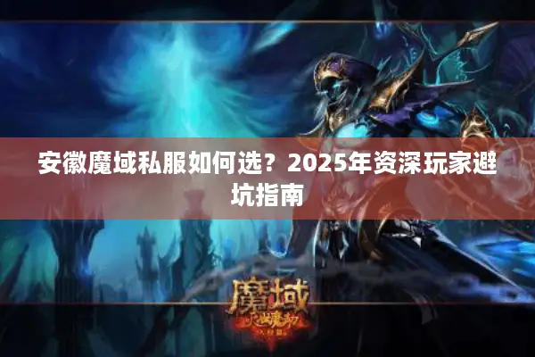安徽魔域私服如何选？2025年资深玩家避坑指南