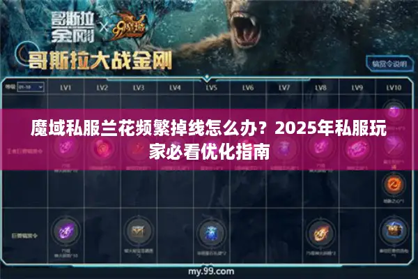 魔域私服兰花频繁掉线怎么办？2025年私服玩家必看优化指南