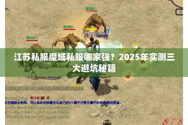 江苏私服魔域私服哪家强？2025年实测三大避坑秘籍