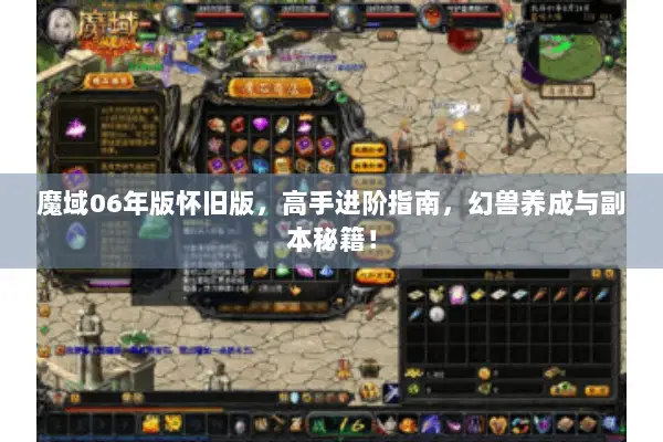 魔域06年版怀旧版，高手进阶指南，幻兽养成与副本秘籍！