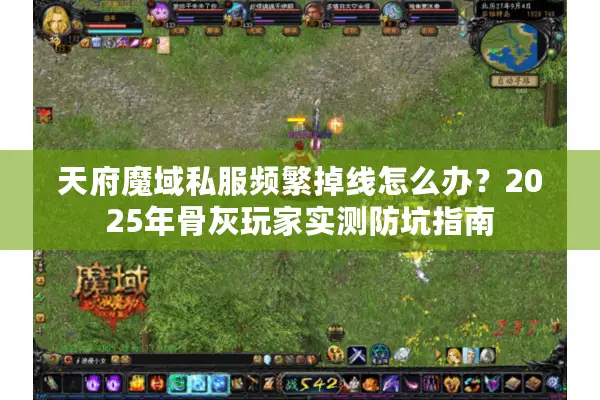 天府魔域私服频繁掉线怎么办？2025年骨灰玩家实测防坑指南