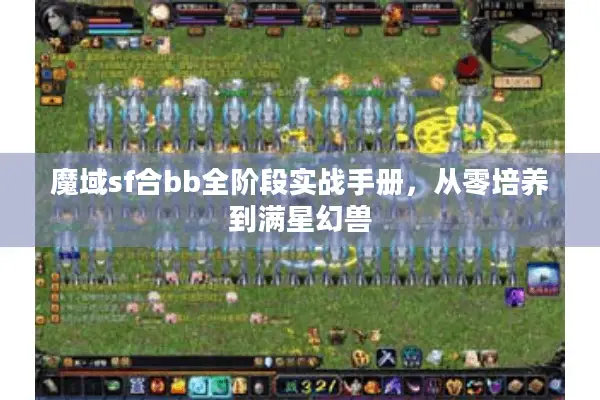 魔域sf合bb全阶段实战手册，从零培养到满星幻兽