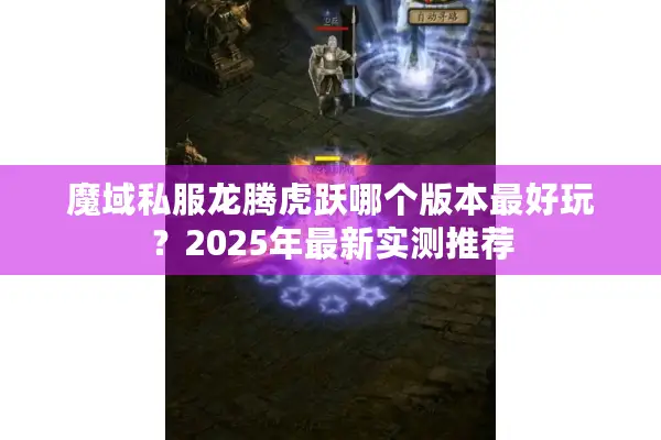 魔域私服龙腾虎跃哪个版本最好玩？2025年最新实测推荐