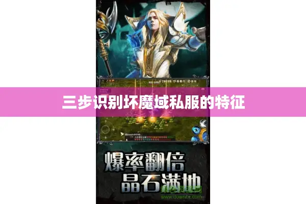 三步识别坏魔域私服的特征