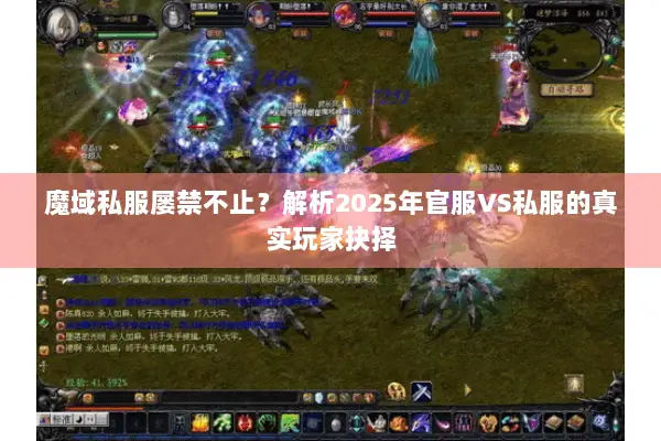 魔域私服屡禁不止？解析2025年官服VS私服的真实玩家抉择