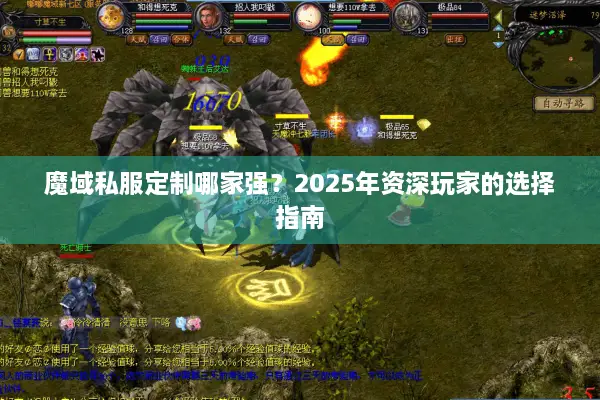 魔域私服定制哪家强？2025年资深玩家的选择指南