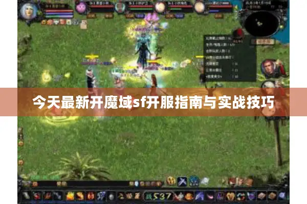 今天最新开魔域sf开服指南与实战技巧
