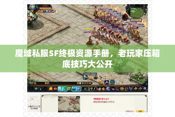 魔域私服SF终极资源手册，老玩家压箱底技巧大公开