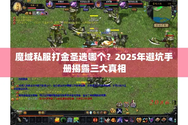 魔域私服打金圣选哪个？2025年避坑手册揭露三大真相