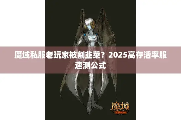 魔域私服老玩家被割韭菜？2025高存活率服速测公式