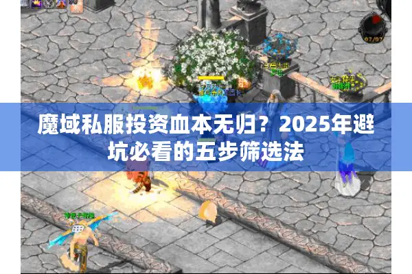 魔域私服投资血本无归？2025年避坑必看的五步筛选法