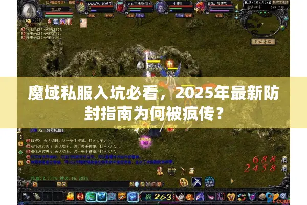 魔域私服入坑必看，2025年最新防封指南为何被疯传？