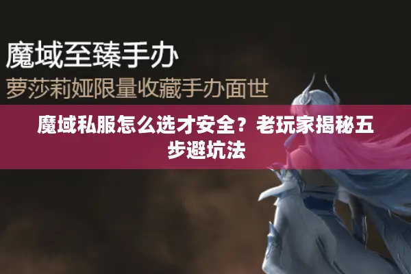 魔域私服怎么选才安全？老玩家揭秘五步避坑法