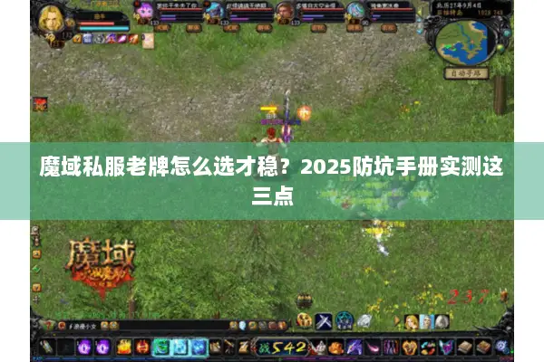 魔域私服老牌怎么选才稳？2025防坑手册实测这三点