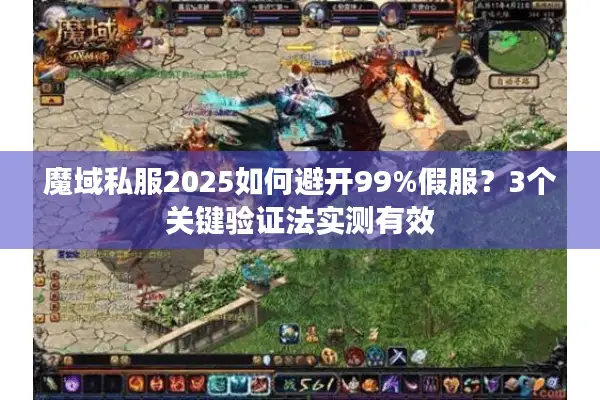 魔域私服2025如何避开99%假服？3个关键验证法实测有效