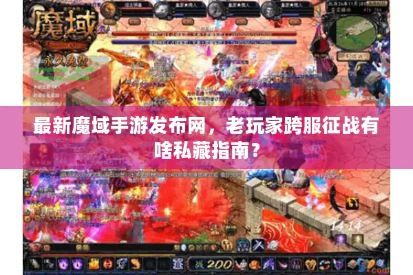 最新魔域手游发布网，老玩家跨服征战有啥私藏指南？