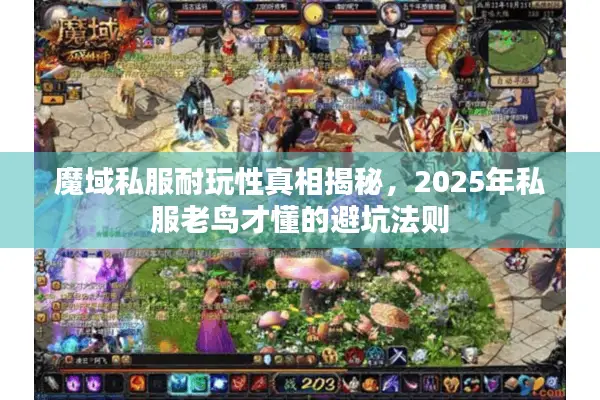 魔域私服耐玩性真相揭秘，2025年私服老鸟才懂的避坑法则