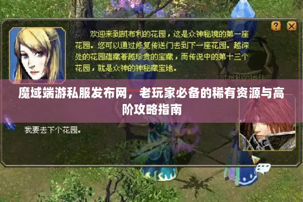 魔域端游私服发布网，老玩家必备的稀有资源与高阶攻略指南