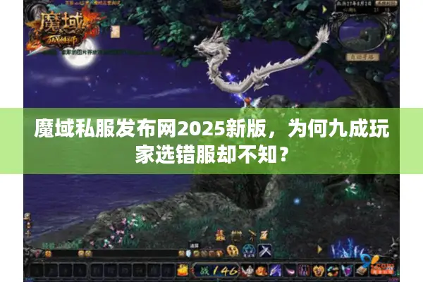 魔域私服发布网2025新版，为何九成玩家选错服却不知？