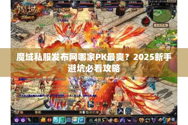 魔域私服发布网哪家PK最爽？2025新手避坑必看攻略