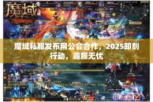 魔域私服发布网公会合作，2025即刻行动，霸服无忧