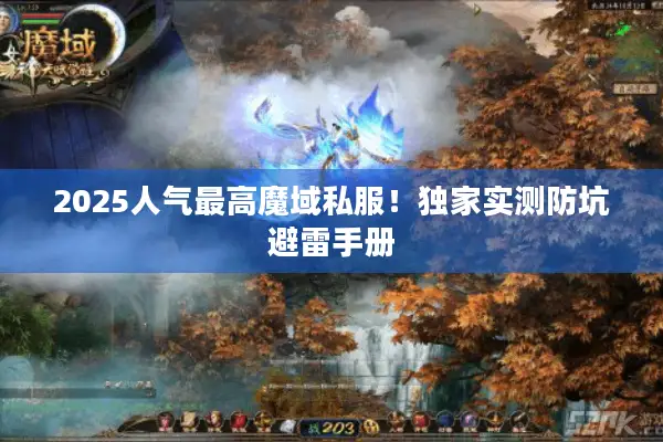 2025人气最高魔域私服！独家实测防坑避雷手册