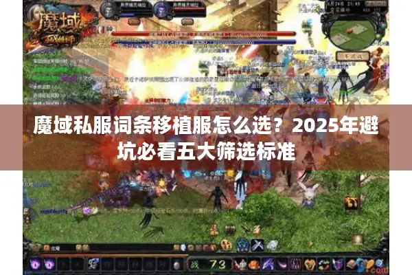 魔域私服词条移植服怎么选？2025年避坑必看五大筛选标准