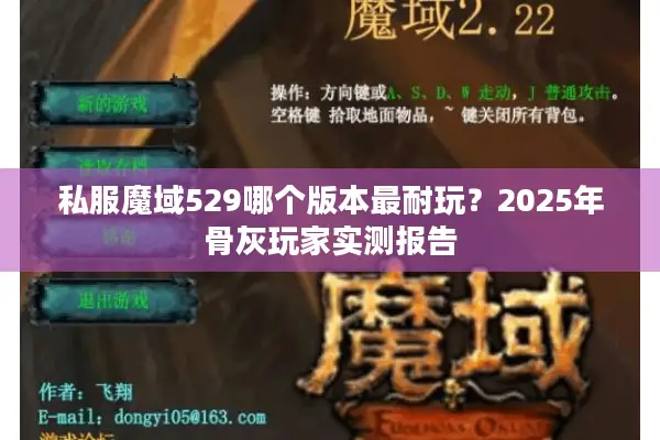 私服魔域529哪个版本最耐玩？2025年骨灰玩家实测报告