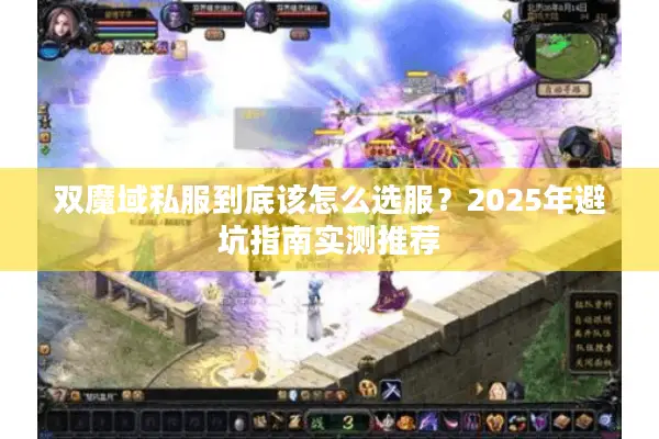 双魔域私服到底该怎么选服?2025年避坑指南实测推荐 双魔域私服到底该怎么选服?2025年避坑指南实测推荐