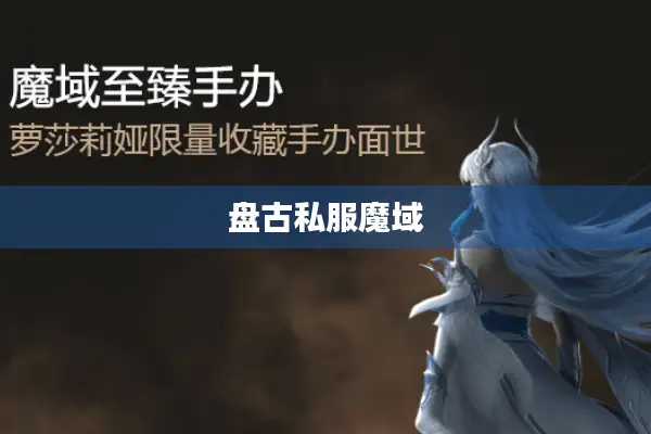 盘古私服魔域