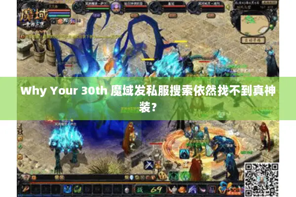 Why Your 30th 魔域发私服搜索依然找不到真神装？