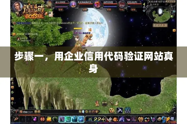 步骤一，用企业信用代码验证网站真身