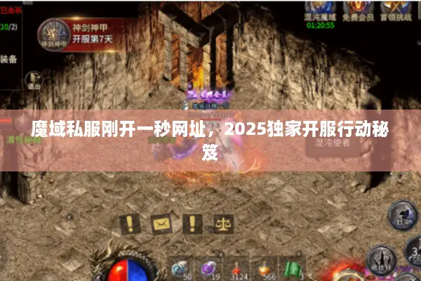 魔域私服刚开一秒网址，2025独家开服行动秘笈