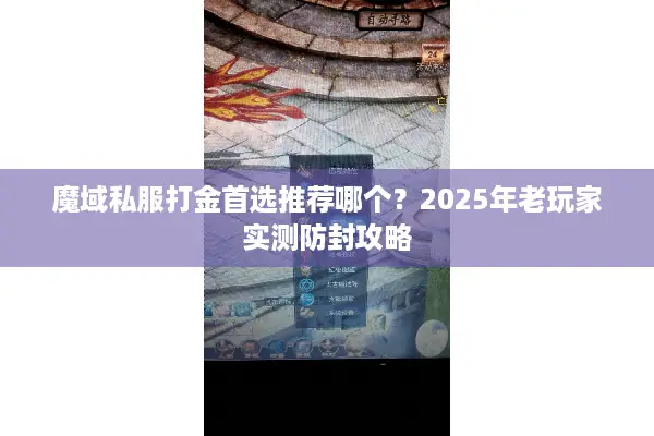 魔域私服打金首选推荐哪个？2025年老玩家实测防封攻略