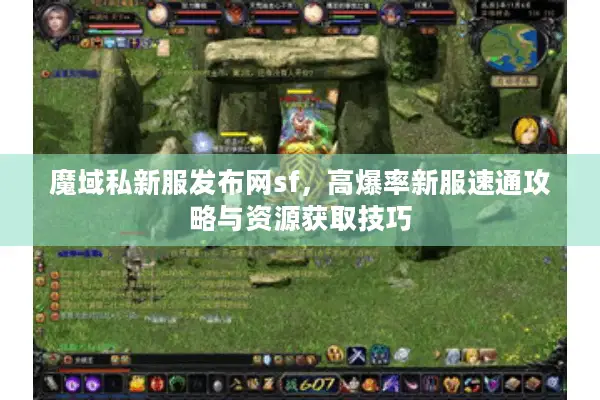 魔域私新服发布网sf，高爆率新服速通攻略与资源获取技巧