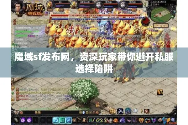 魔域sf发布网，资深玩家带你避开私服选择陷阱