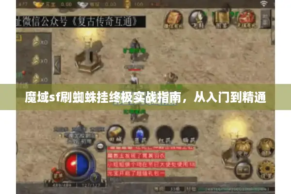 魔域sf刷蜘蛛挂终极实战指南，从入门到精通