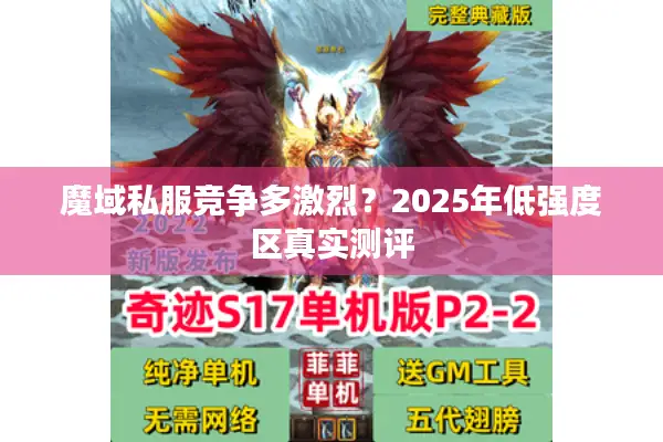 魔域私服竞争多激烈?2025年低强度区真实测评 魔域私服竞争多激烈?2025年低强度区真实测评
