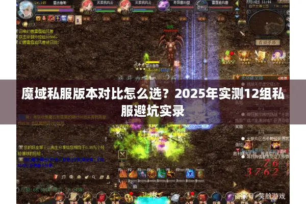 魔域私服版本对比怎么选？2025年实测12组私服避坑实录