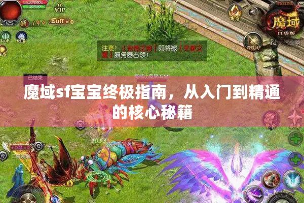 魔域sf宝宝终极指南，从入门到精通的核心秘籍