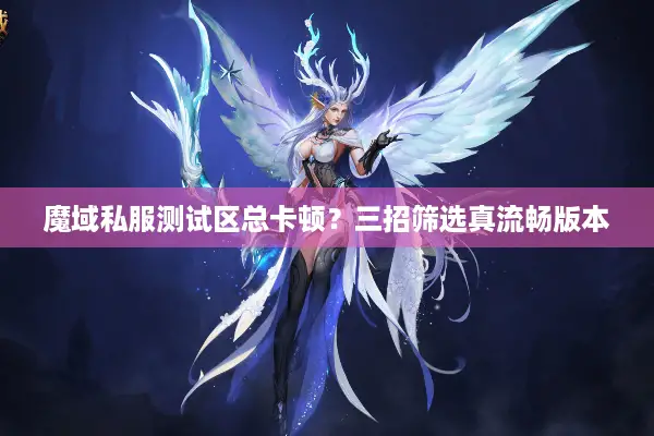 魔域私服测试区总卡顿？三招筛选真流畅版本