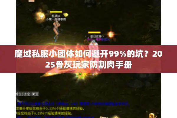 魔域私服小团体如何避开99%的坑？2025骨灰玩家防割肉手册