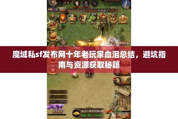 魔域私sf发布网十年老玩家血泪总结，避坑指南与资源获取秘籍