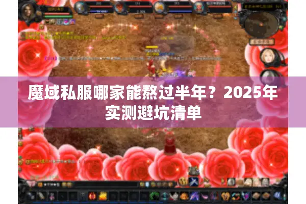 魔域私服哪家能熬过半年？2025年实测避坑清单