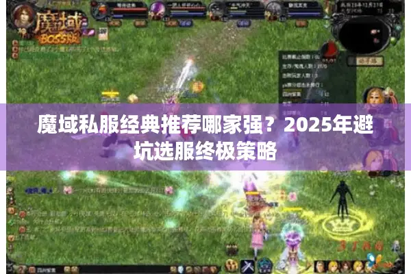 魔域私服经典推荐哪家强？2025年避坑选服终极策略