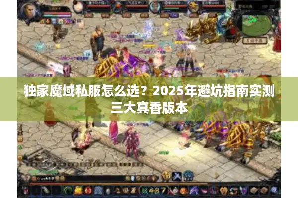 独家魔域私服怎么选？2025年避坑指南实测三大真香版本