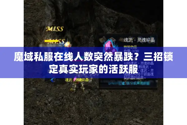 魔域私服在线人数突然暴跌？三招锁定真实玩家的活跃服