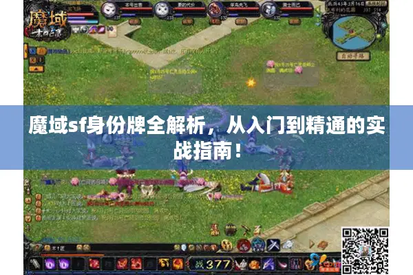魔域sf身份牌全解析，从入门到精通的实战指南！