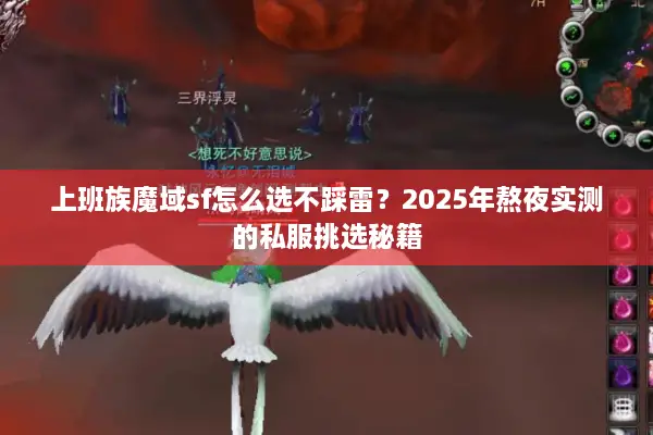 上班族魔域sf怎么选不踩雷？2025年熬夜实测的私服挑选秘籍